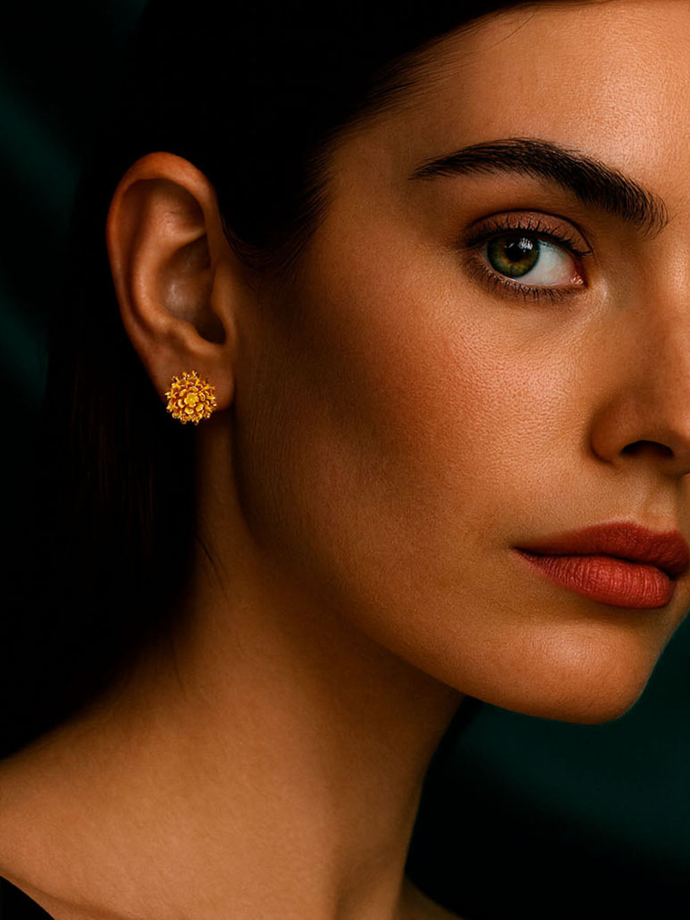 Aretes topos frailejón