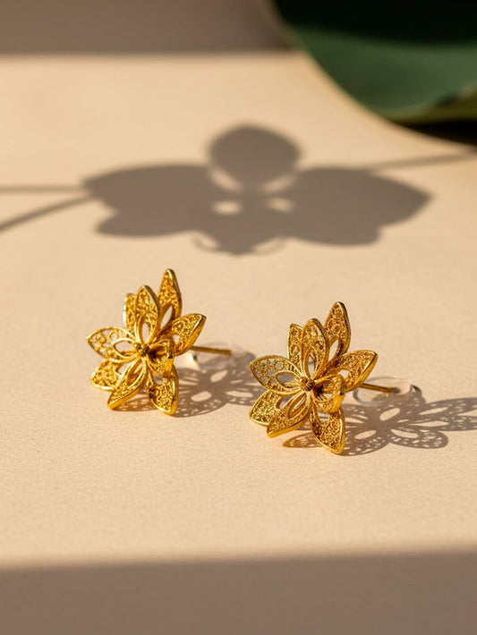 Arets Orquidea filigrana